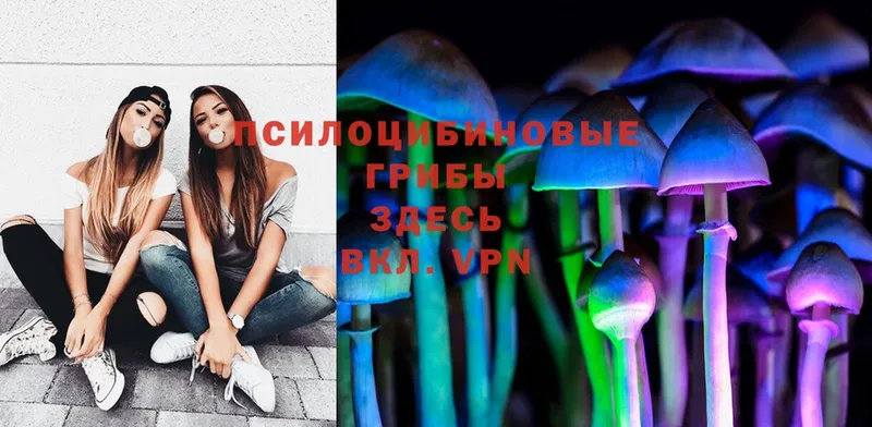 Псилоцибиновые грибы Magic Shrooms Барыш